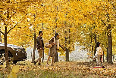 横山昌义称《如龙》不是日版GTA：我们不打女人